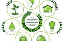 permaculture-image