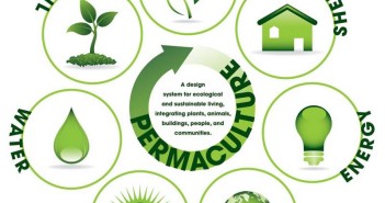 permaculture-image