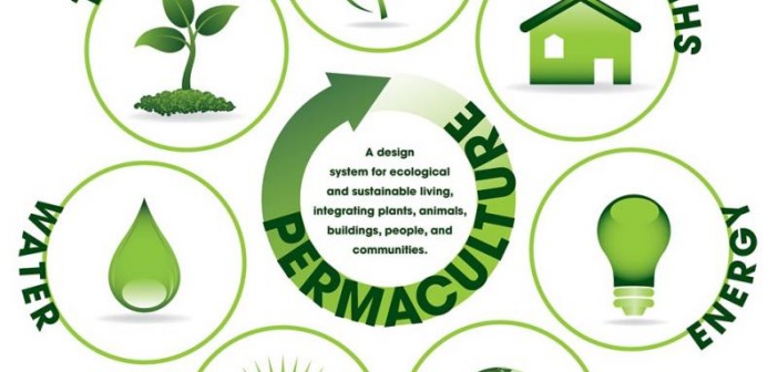 permaculture-image